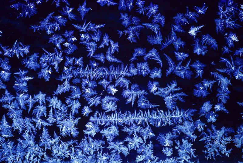 gallery 1, Fine Art Photo Infinite Variety