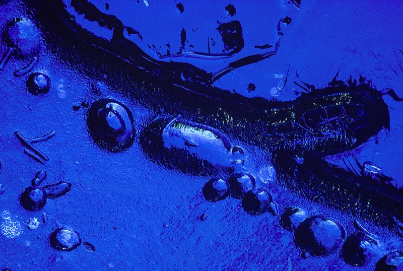 gallery 1, Fine Art Photo Magical Blue