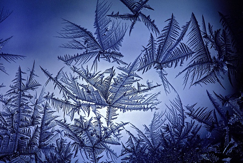 gallery 1, Fine Art Photo Feathered Dreams