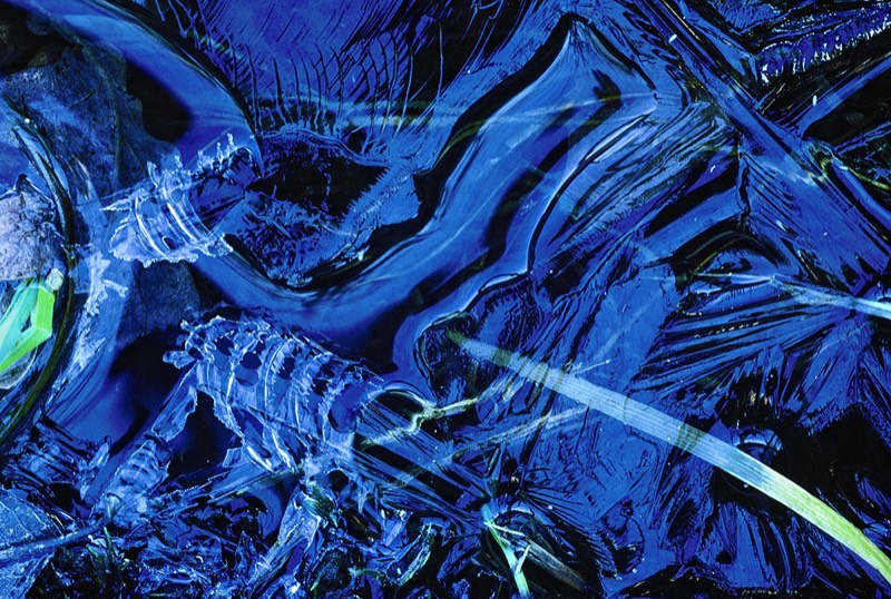 gallery 1, Fine Art Photo Transient Beauty