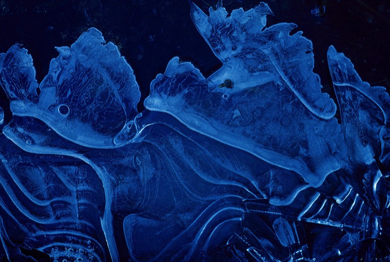 gallery 1, Fine Art Photo Mythical Friends