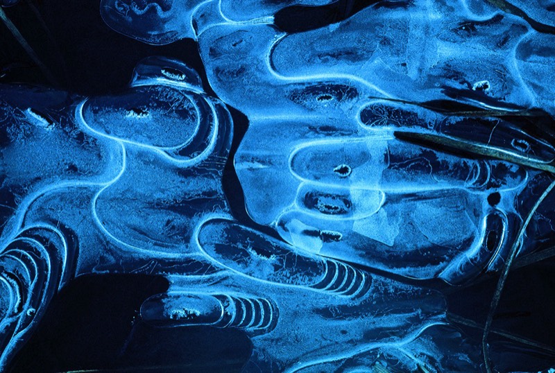 gallery 1, Fine Art Photo Blue Swarm