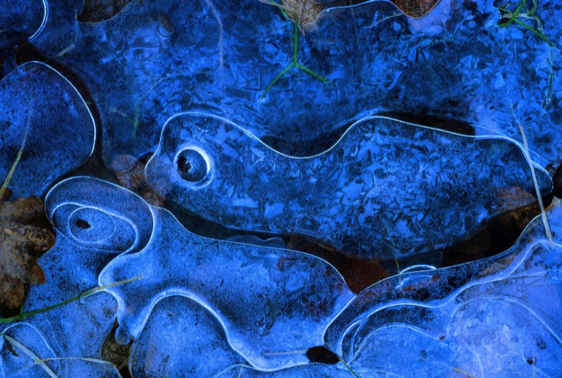 gallery 1, Fine Art Photo Blue Monades