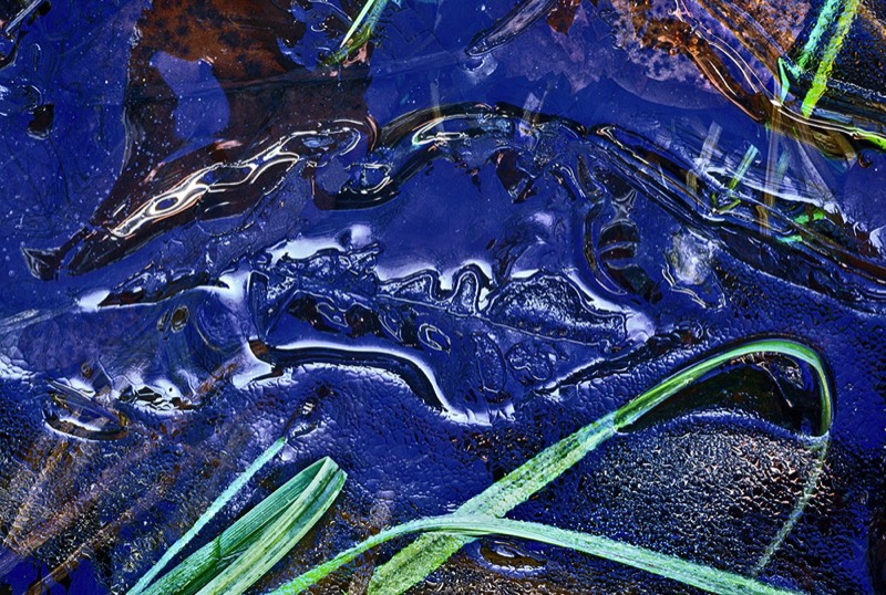 gallery 1, Fine Art Photo Nature as Artist