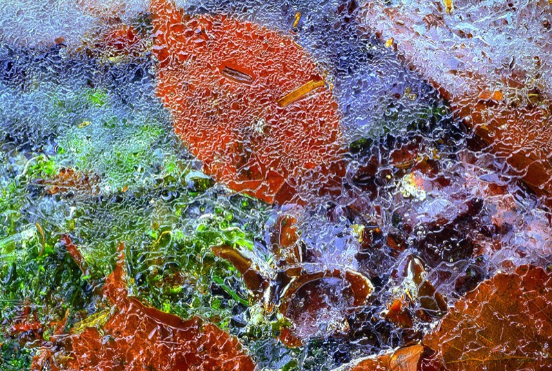 gallery 1, Fine Art Photo Colours of Fall