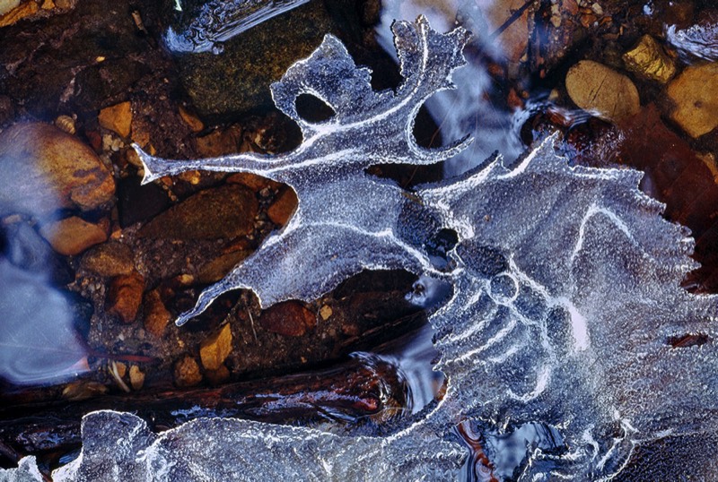 gallery 1, Fine Art Photo "Ice Troll"