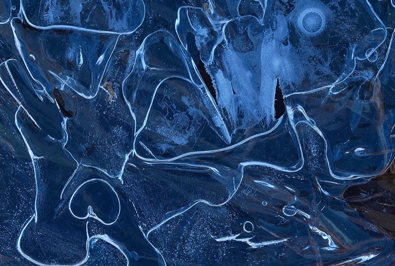 gallery 1, Fine Art Photo Moon Dancers