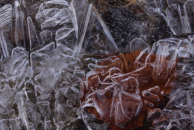 gallery 1, Fine Art Photo Celestial Dwelling