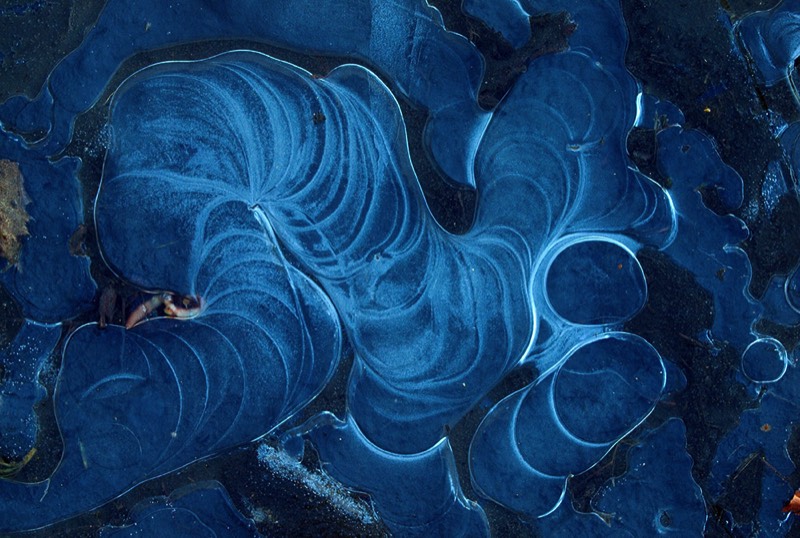 gallery 1, Fine Art Photo Modules of the Universe