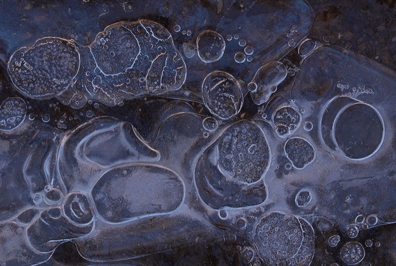 gallery 1, Fine Art Photo State of Uncertainty