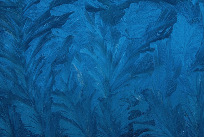 gallery 1, Fine Art Photo Night Flowers