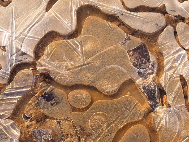 gallery 1, Fine Art Photo