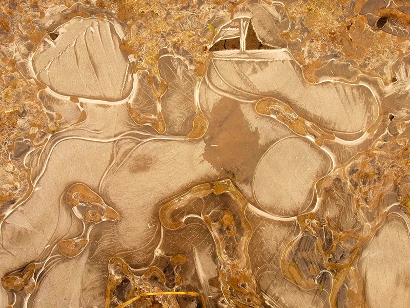 gallery 1, Fine Art Photo