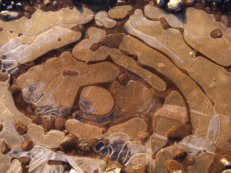 gallery 1, Fine Art Photo