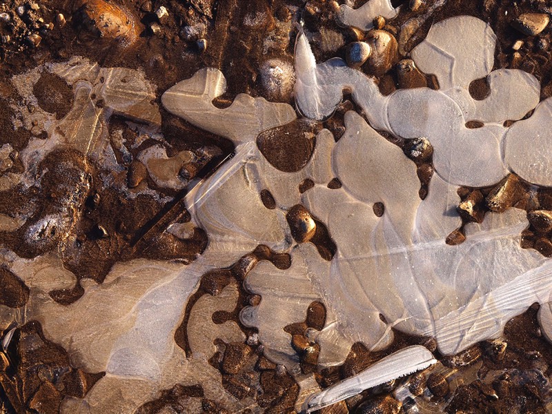 gallery 1, Fine Art Photo