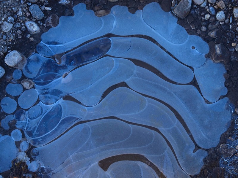 gallery 1, Fine Art Photo