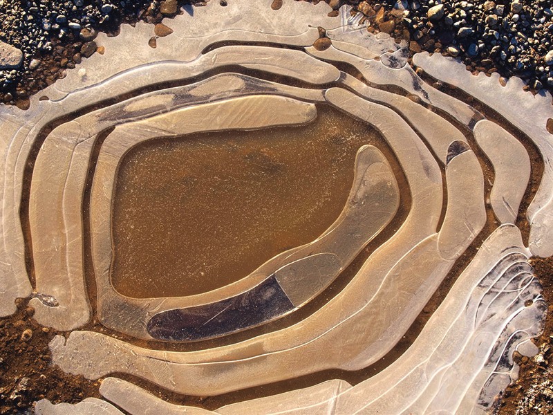 gallery 1, Fine Art Photo