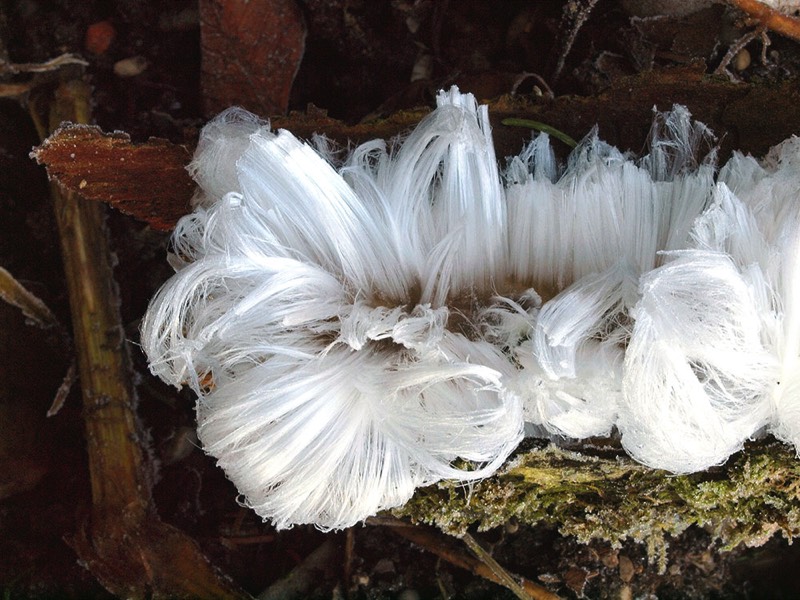 gallery 1, Fine Art Photo