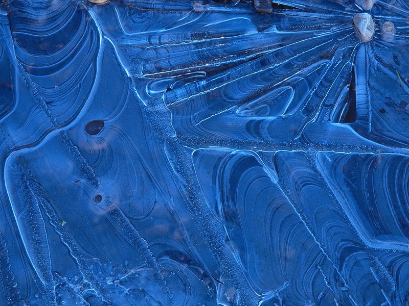 gallery 1, Fine Art Photo