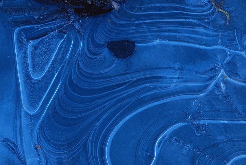 gallery 1, Fine Art Photo Blue Dog