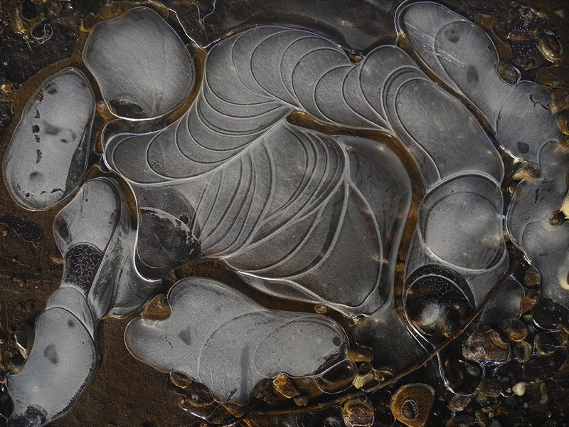 gallery 1, Fine Art Photo