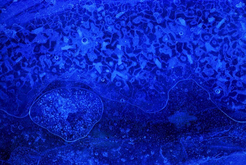 gallery 1, Fine Art Photo Blue Harmony