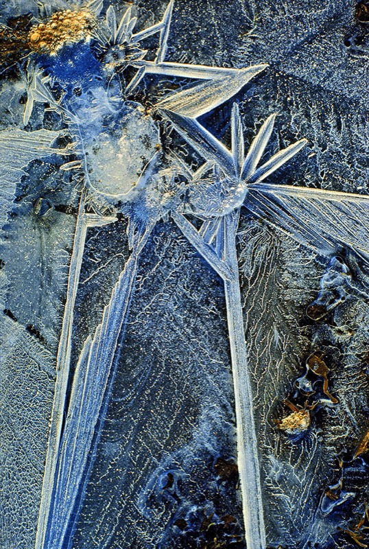 gallery 1, Fine Art Photo "Dancing Comets"