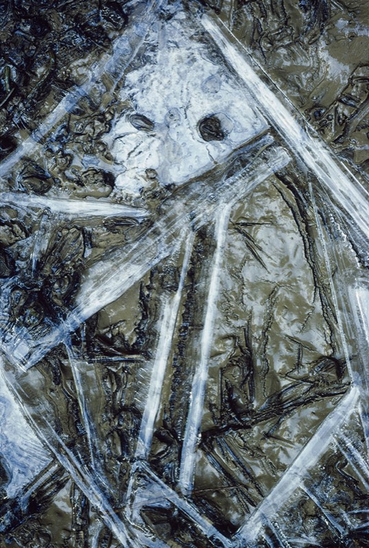 gallery 1, Fine Art Photo "Creek Ghost"