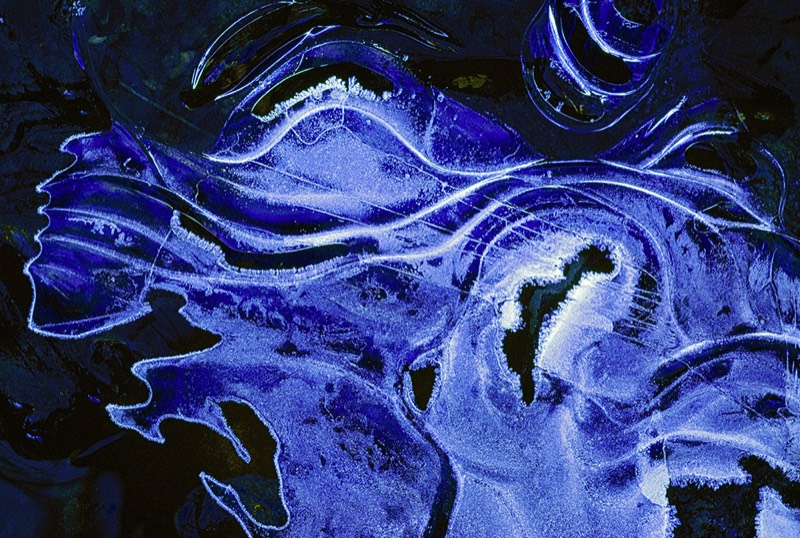 gallery 1, Fine Art Photo Uniqueness