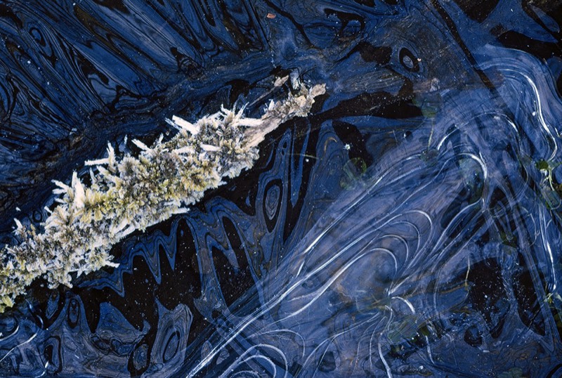 Gallery 2, Fine Art Photo, Watermetamorphodes ", Mirror of Mystery