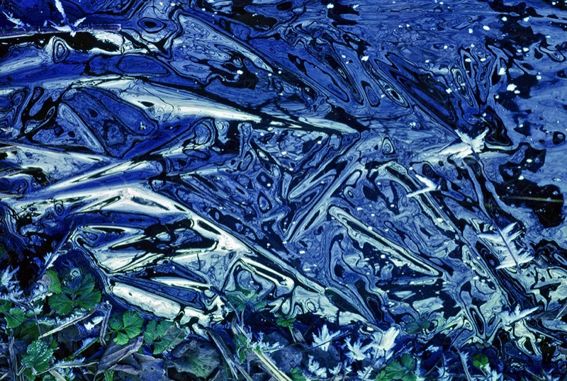 gallery 2, Fine Art Photo Harmony in Variety