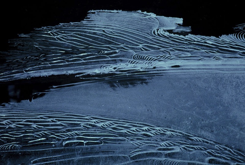 gallery 2, Fine Art Photo Creek Garden