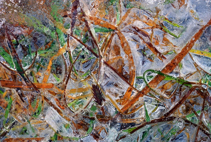 Gallery 2, Fine Art Photo, Watermetamorphodes ", Genesis-5