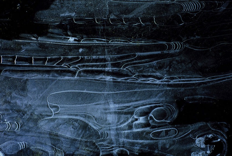 Gallery 2, Fine Art Photo, Watermetamorphodes ", Genesis-1