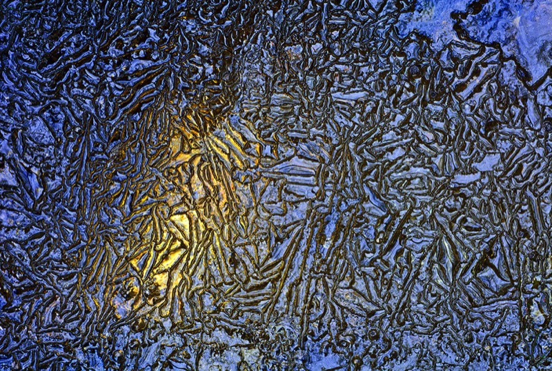 gallery 2, Fine Art Photo Leaf of Love