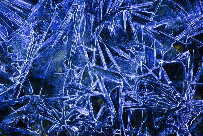 gallery 2, Fine Art Photo Little Bluebird