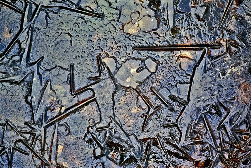 gallery 2, Fine Art Photo Planet in Danger