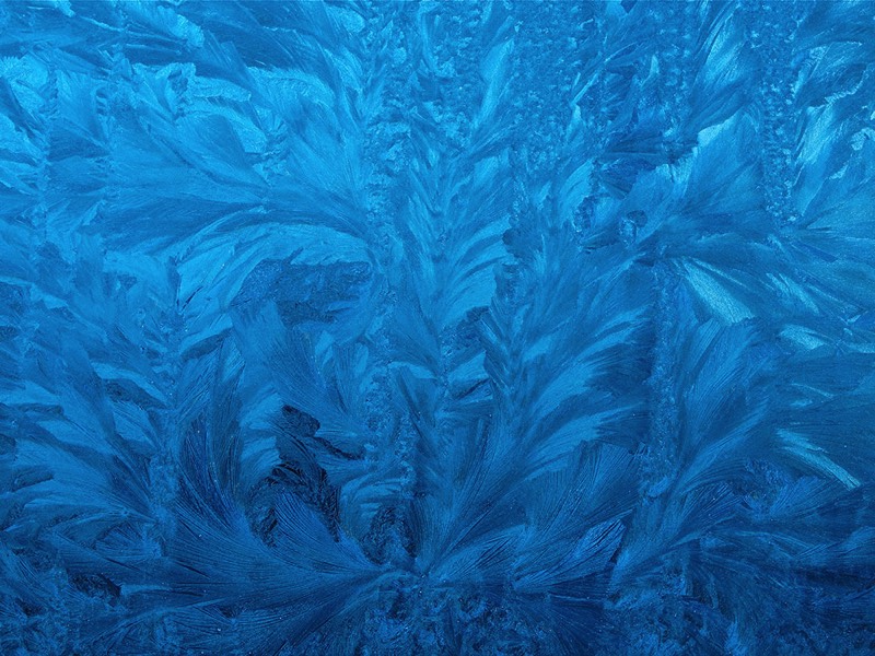 gallery 2, Fine Art Photo