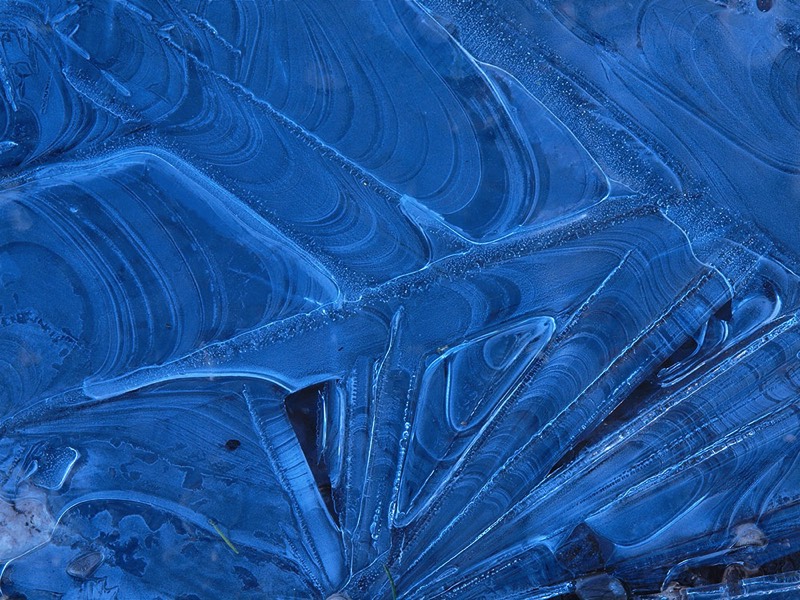 gallery 2, Fine Art Photo