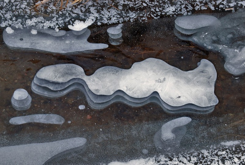 gallery 2, Fine Art Photo Growth and Transience