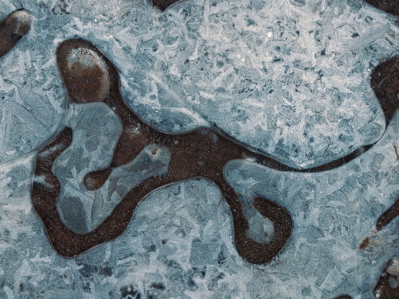 gallery 2, Fine Art Photo Lucky Charm