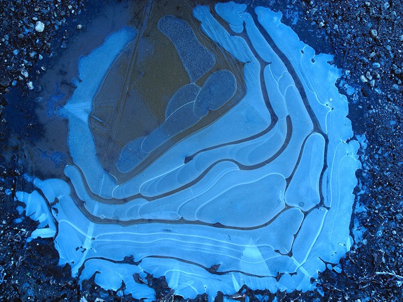 gallery 2, Fine Art Photo