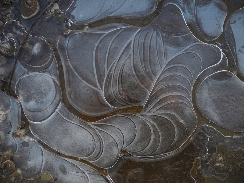 gallery 2, Fine Art Photo