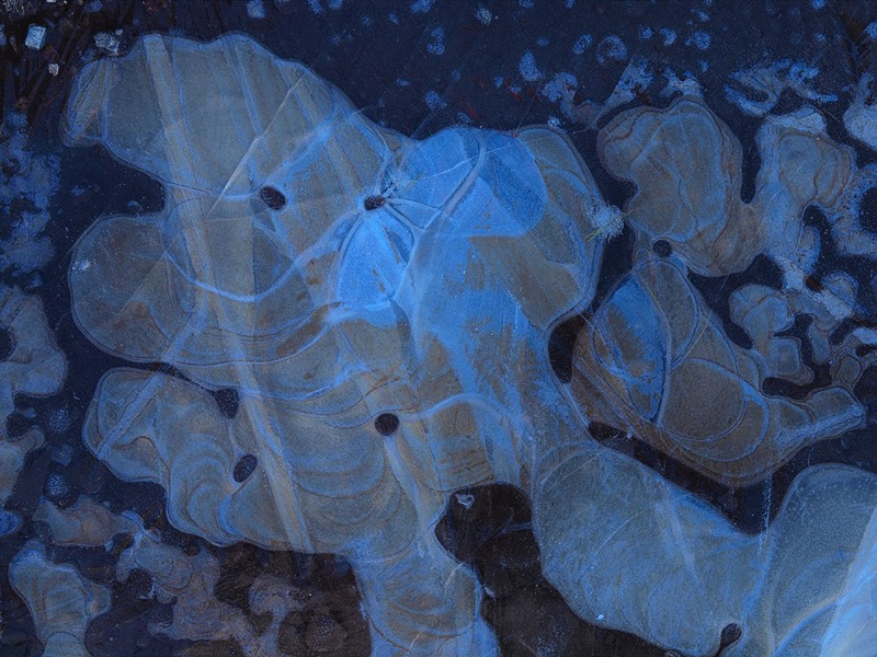 Gallery 3, Water Metamorphoses, Fine Art Photo 6693