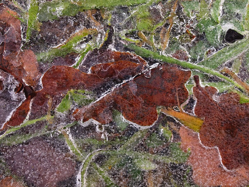 Gallery 3, Water Metamorphoses, Fine Art Photo 6908