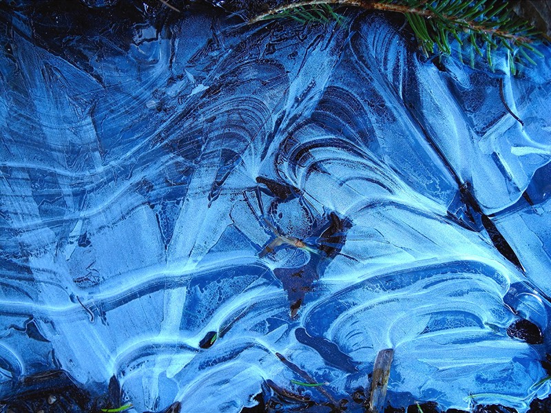 Gallery 3, Water Metamorphoses, Fine Art Photo 7636