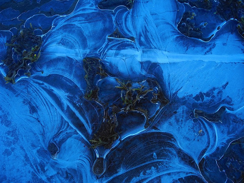 Gallery 3, Water Metamorphoses, Fine Art Photo 7669