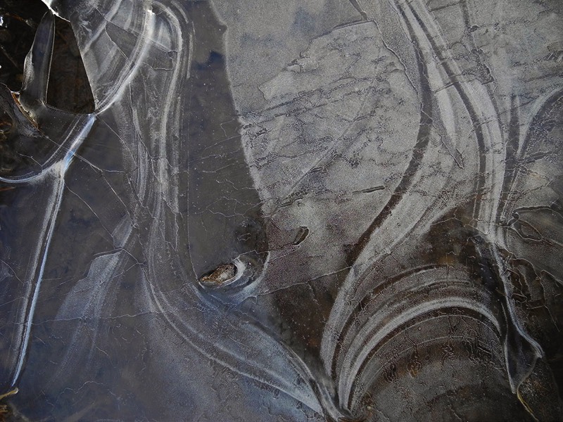 Gallery 3, Water Metamorphoses, Fine Art Photo 7676