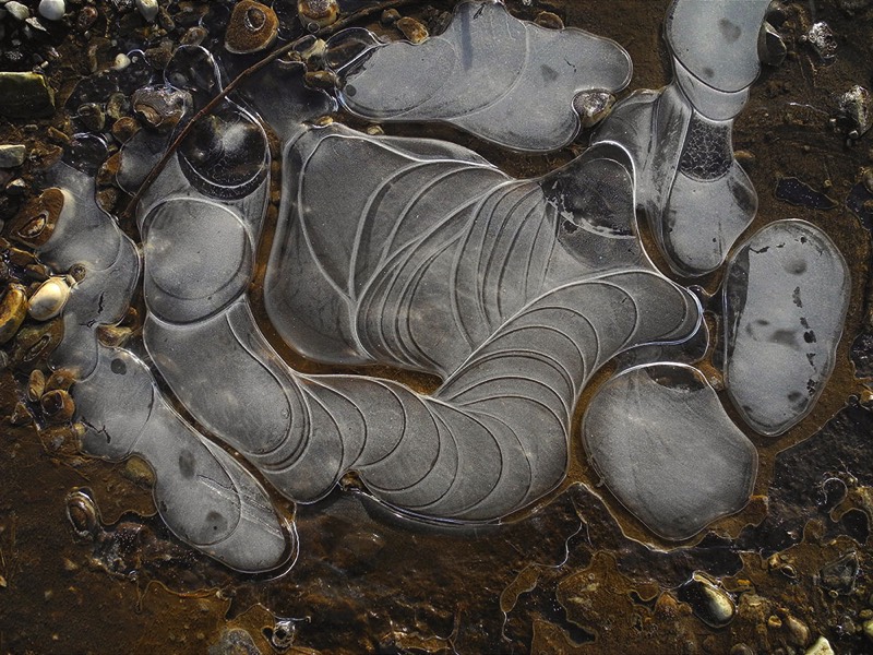 Gallery 3, Water Metamorphoses, Fine Art Photo 7694