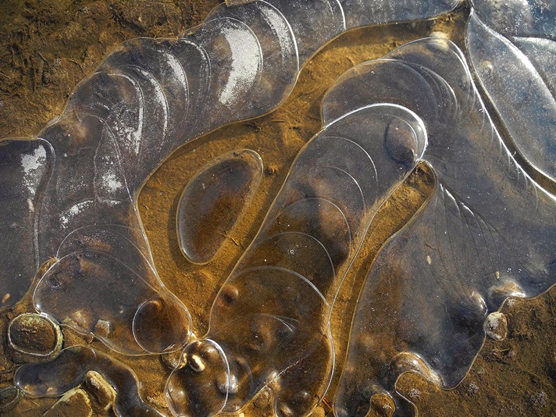 Gallery 3, Water Metamorphoses, Fine Art Photo 7727